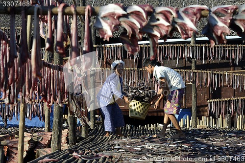 Image of ASIA MYANMAR MYEIK DRY FISH PRODUCTION