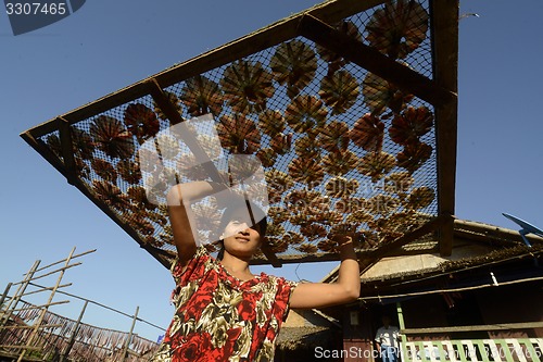 Image of ASIA MYANMAR MYEIK DRY FISH PRODUCTION