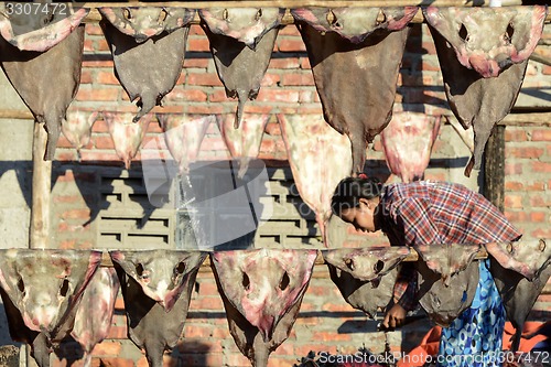 Image of ASIA MYANMAR MYEIK DRY FISH PRODUCTION