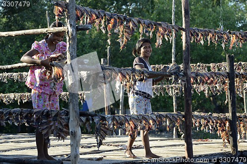 Image of ASIA MYANMAR MYEIK DRY FISH PRODUCTION