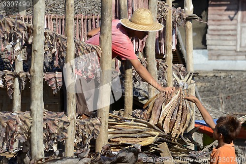 Image of ASIA MYANMAR MYEIK DRY FISH PRODUCTION