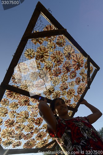 Image of ASIA MYANMAR MYEIK DRY FISH PRODUCTION