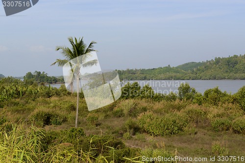Image of ASIA MYANMAR MYEIK LANDSCAPE