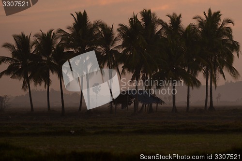 Image of ASIA MYANMAR MYEIK LANDSCAPE