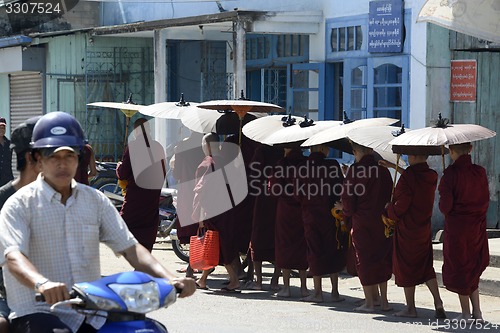 Image of ASIA MYANMAR MYEIK CITY MONK