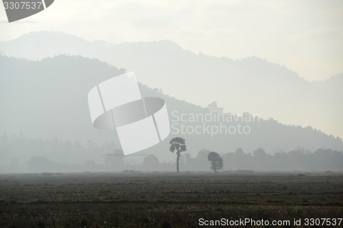 Image of ASIA MYANMAR MYEIK AGRACULTURE