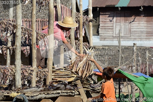 Image of ASIA MYANMAR MYEIK DRY FISH PRODUCTION