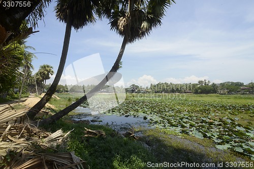 Image of ASIA MYANMAR MYEIK CITY