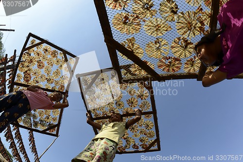 Image of ASIA MYANMAR MYEIK DRY FISH PRODUCTION