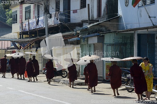 Image of ASIA MYANMAR MYEIK CITY MONK
