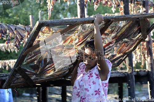 Image of ASIA MYANMAR MYEIK DRY FISH PRODUCTION