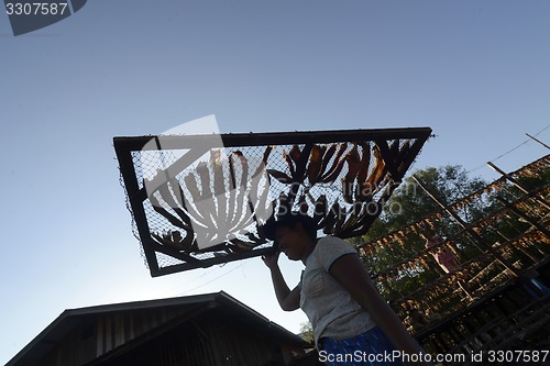 Image of ASIA MYANMAR MYEIK DRY FISH PRODUCTION