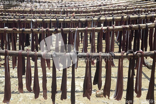 Image of ASIA MYANMAR MYEIK DRY FISH PRODUCTION