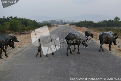 Image of ASIA MYANMAR MYEIK LANDSCAPE