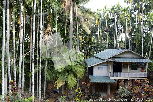 Image of ASIA MYANMAR MYEIK AGRACULTURE PEOPLE