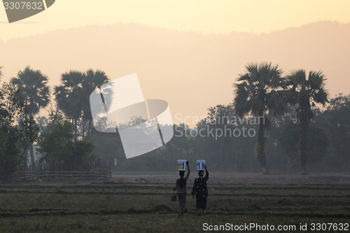 Image of ASIA MYANMAR MYEIK AGRACULTURE