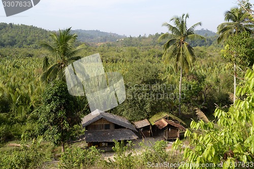 Image of ASIA MYANMAR MYEIK AGRACULTURE PEOPLE