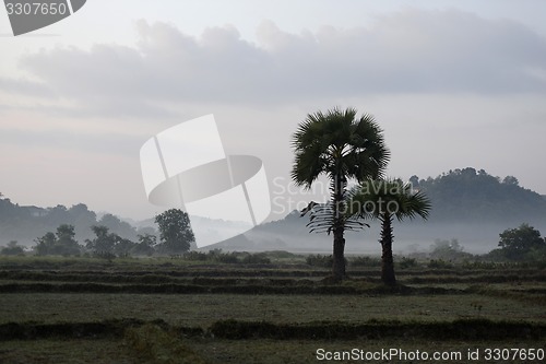 Image of ASIA MYANMAR MYEIK LANDSCAPE