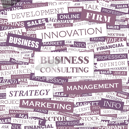 Image of BUSINESS CONSULTING