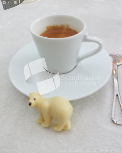 Image of Ice-bear of white chocolate