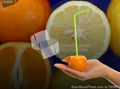 Image of Oranges