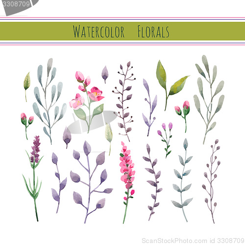 Image of Watercolor floral collection 