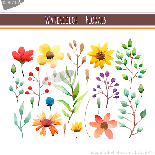 Image of Watercolor floral collection 