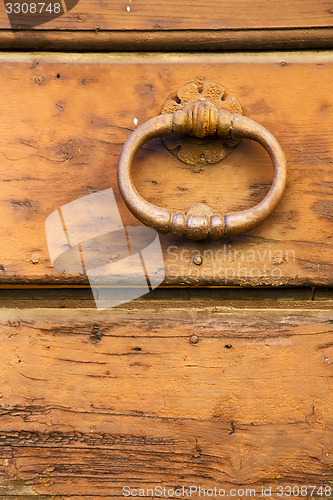 Image of  varese   brass brown knocker in a   closed wood door venegono i