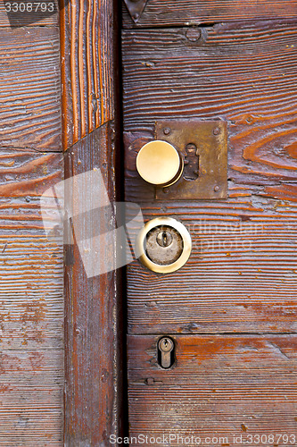 Image of  brass brown knocker   wood  door vinago  varese italy