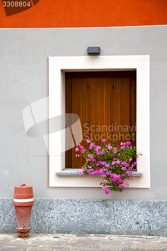 Image of  cavaria    wood venetian blind in the concrete orange 