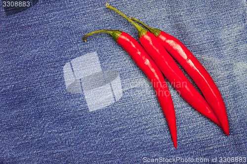 Image of red chili pepper on jeans background