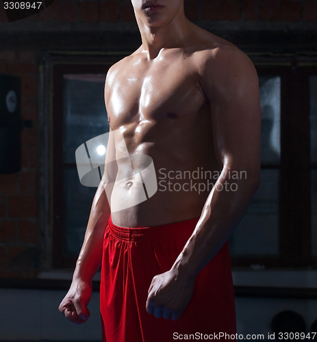 Image of Muscle man torso