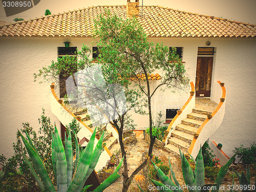 Image of landscape with agave on a background of the house