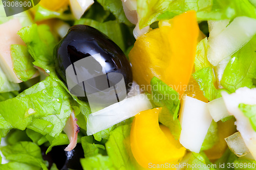 Image of Assorted salad of green leaf lettuce with squid and black olives