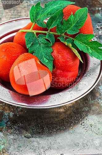 Image of tomato harvest