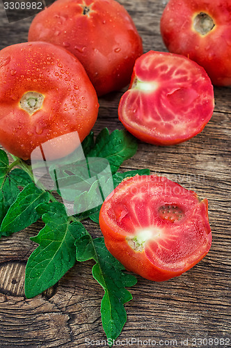 Image of tomato harvest