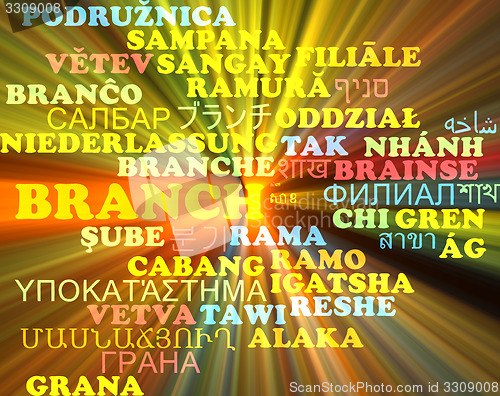 Image of Branch multilanguage wordcloud background concept glowing