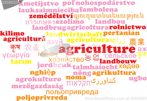 Image of Agriculture multilanguage wordcloud background concept