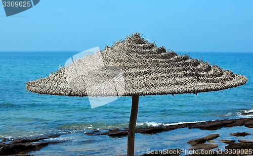 Image of beach umbrella