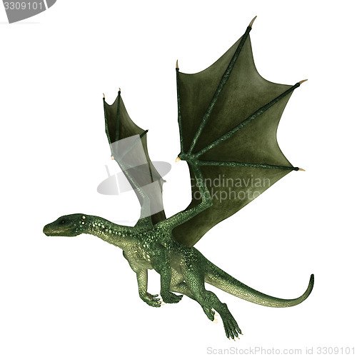 Image of Dragon