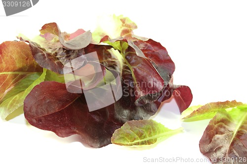 Image of crunchy red lettuce