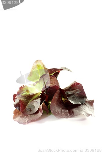 Image of fresh delicious red lettuce