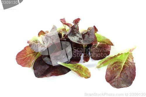 Image of fresh crunchy red lettuce