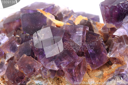 Image of violet fluorite cubes