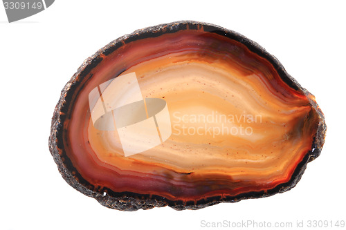 Image of brown agate isolated