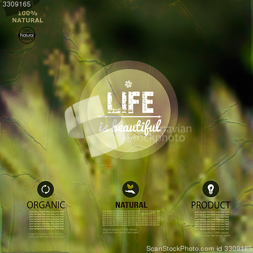 Image of Vector summer background 