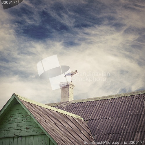 Image of Stork standing on a chimney