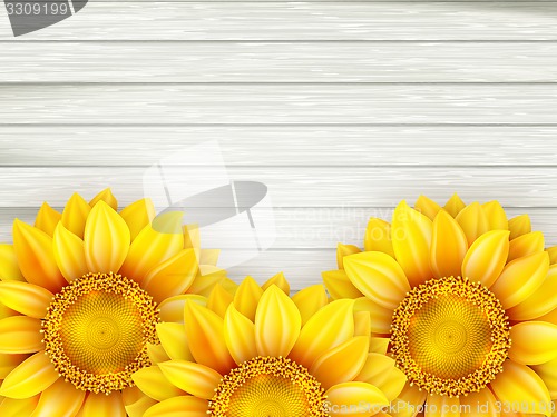 Image of Sunflowers on wooden background. EPS 10