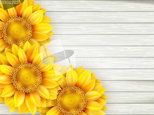 Image of Sunflowers on wooden background. EPS 10