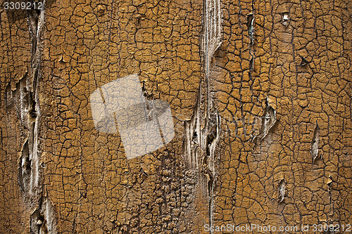 Image of Background